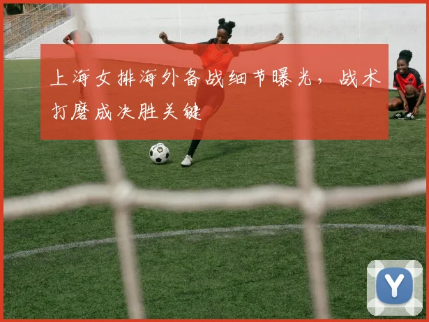 上海女排海外备战细节曝光，战术打磨成决胜关键