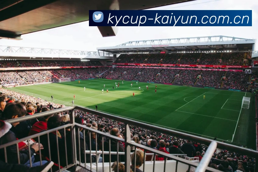 KaiyunApp界面展示